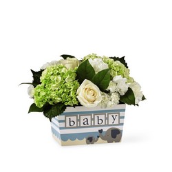 The FTD Darling Baby Boy Bouquet from Victor Mathis Florist in Louisville, KY